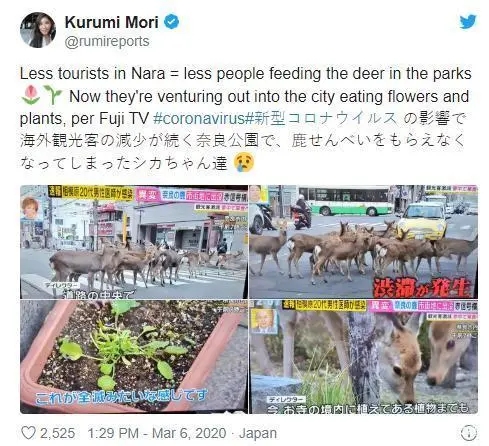 世界地球日|关于环保这件事,没有局外人! 世界地球日|关于环保这件事,没有局外人!
