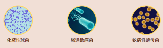 为空调做个全面清洁，用清新空气迎接夏季！