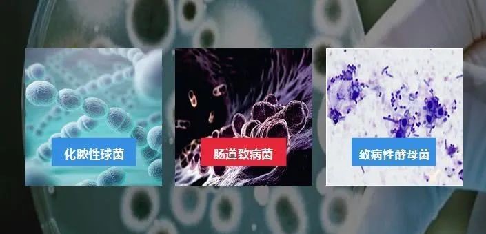 暖春时节，细菌滋生，汽车空调保养不能忘