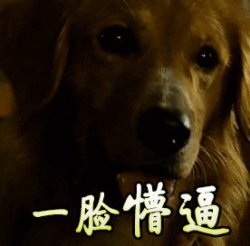 不是所有的燃油添加剂都符合标准